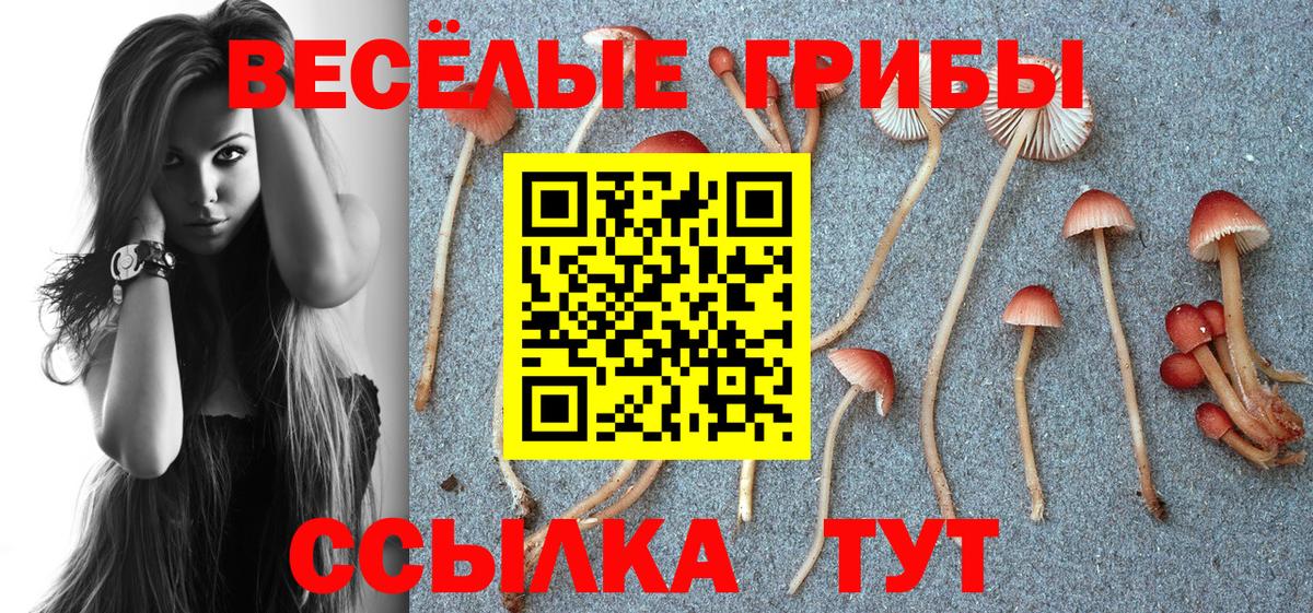 Воркута  закладка  Псилоцибиновые грибы Magic Shrooms  Вход с VPN  Галлюциногенные грибы ЛСД 