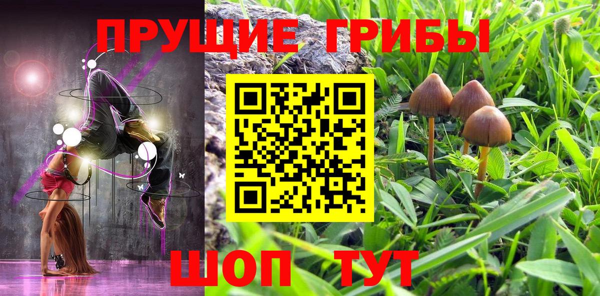 Галлюциногенные грибы ЛСД Воркута